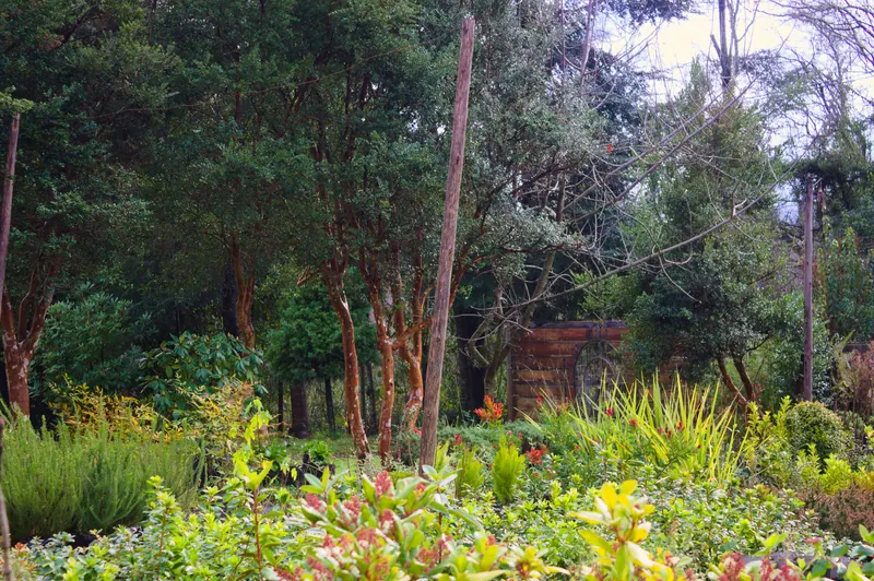 Rincón del vivero listo para recibirte